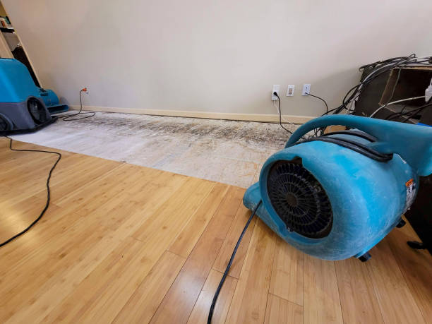 Professional Flood Damage Cleanup technician working in Bethel, PA